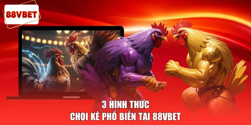 3 hình thức chọi kê phổ biến tại 88vbet