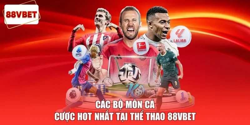 Các bộ môn cá cược hot nhất tại thể thao 88vbet