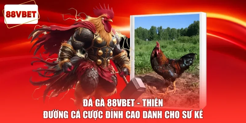 Đá Gà 88vbet - Thiên Đường Cá Cược Đỉnh Cao Dành Cho Sư Kê